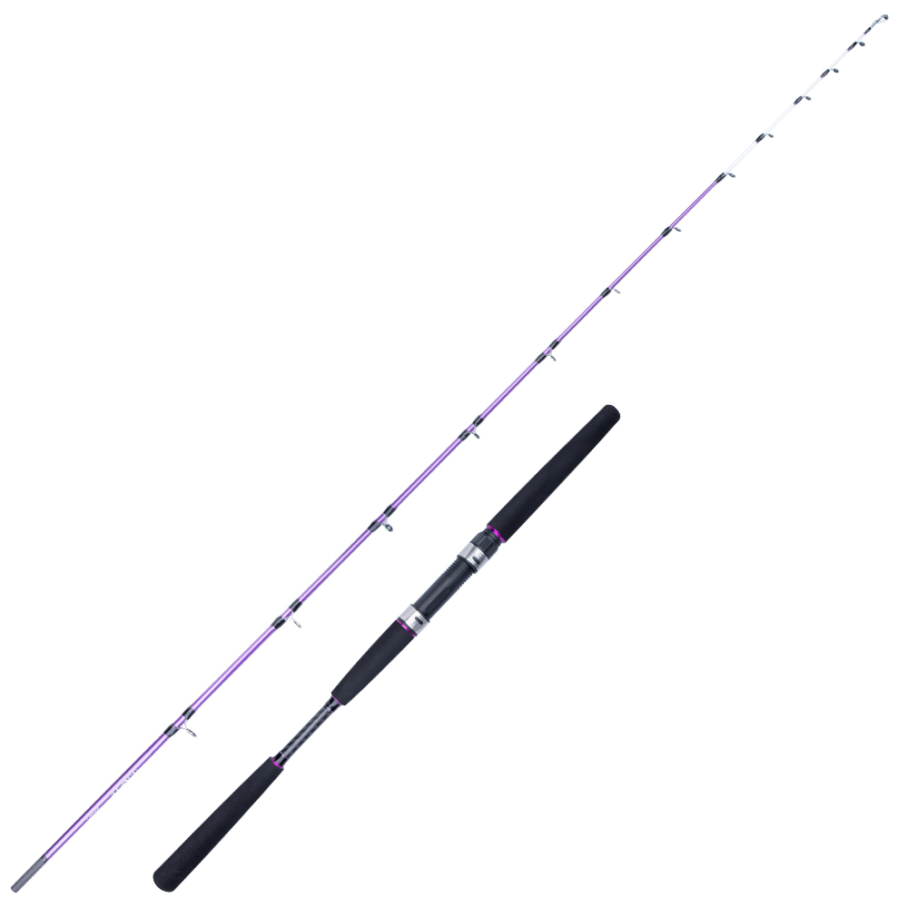 Fishing Rod Surf - Canne à pêche spinning en fibre